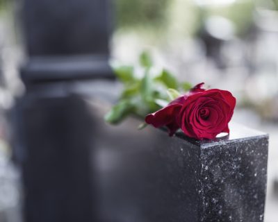 Red rose on grave