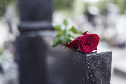 Red rose on grave