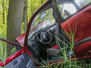 car crashed into a tree